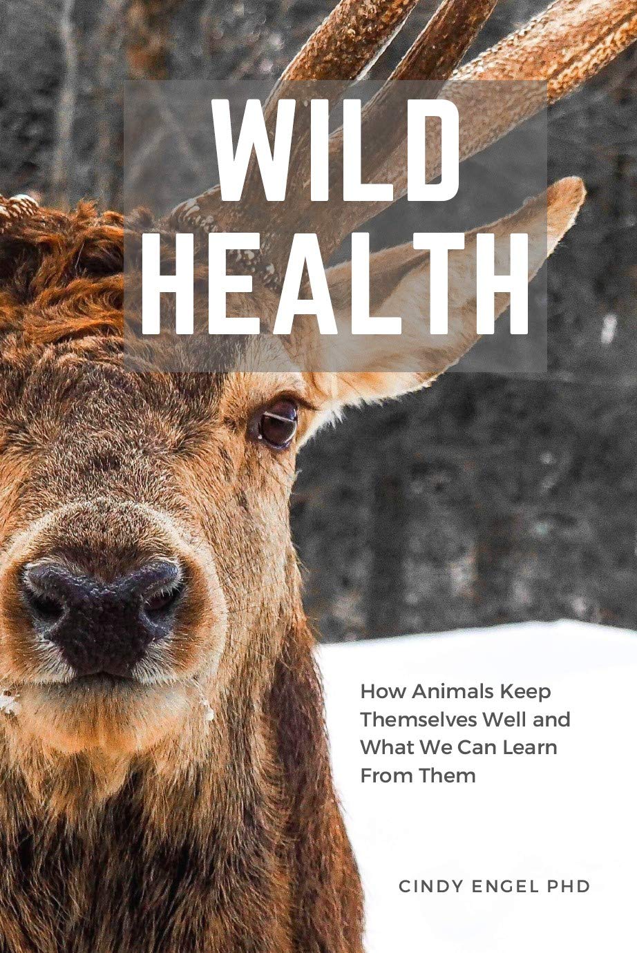 ler totalmente Wild Health: How animals keep themselves well and what we can learn from them (English Edition)