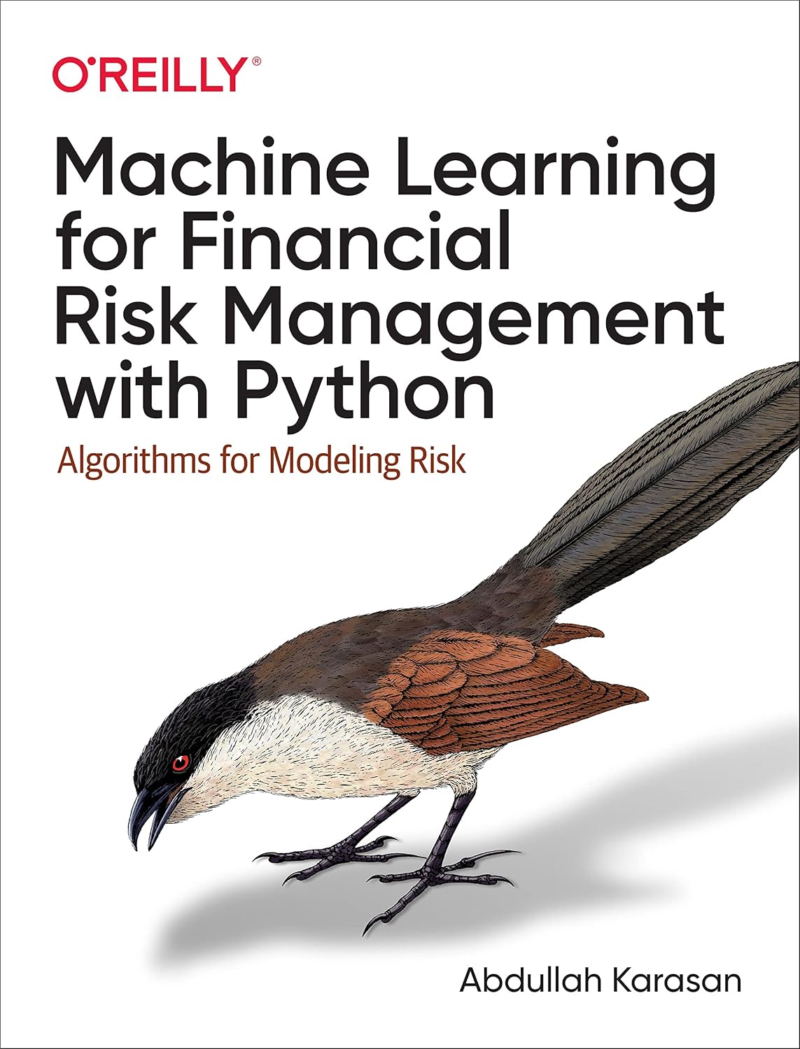 ler totalmente Machine Learning for Financial Risk Management with Python: Algorithms for Modeling Risk