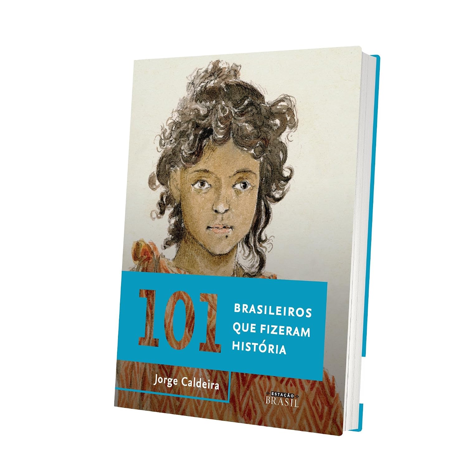 101 brasileiros que fizeram história baixar livro de graça