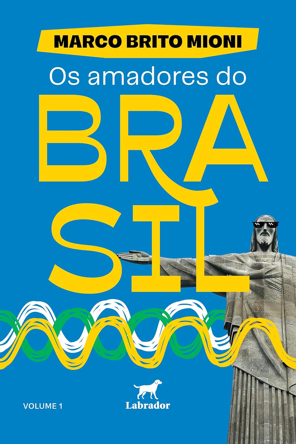 Os amadores do Brasil – volume 1 baixar o livro de graça