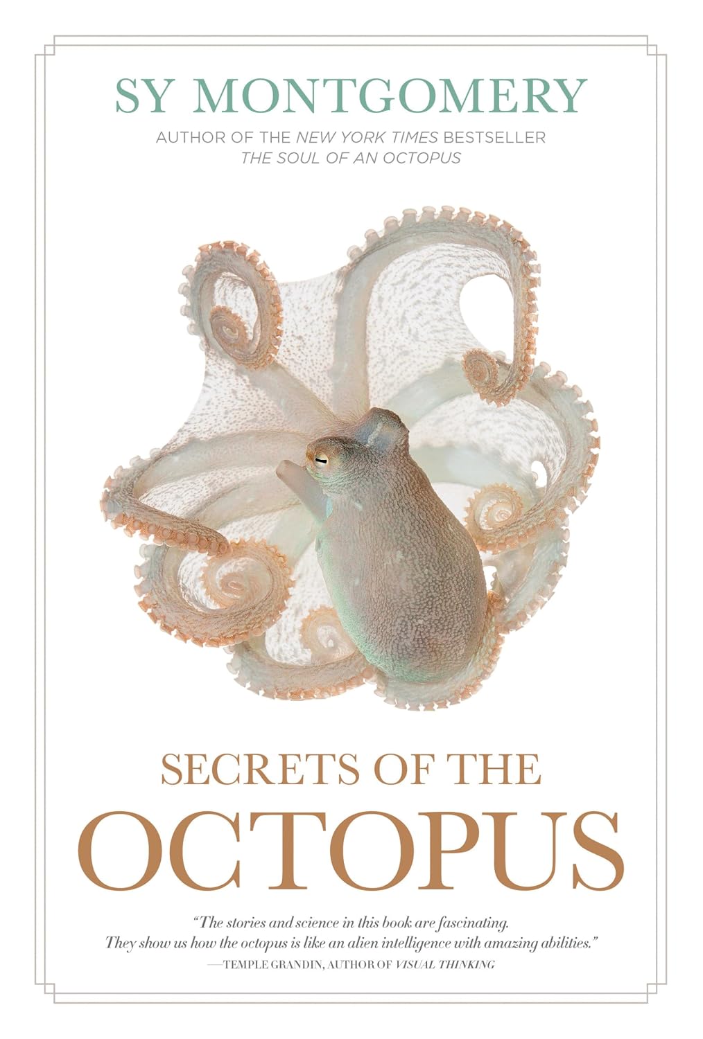 Secrets of the Octopus baixar o livro de graça