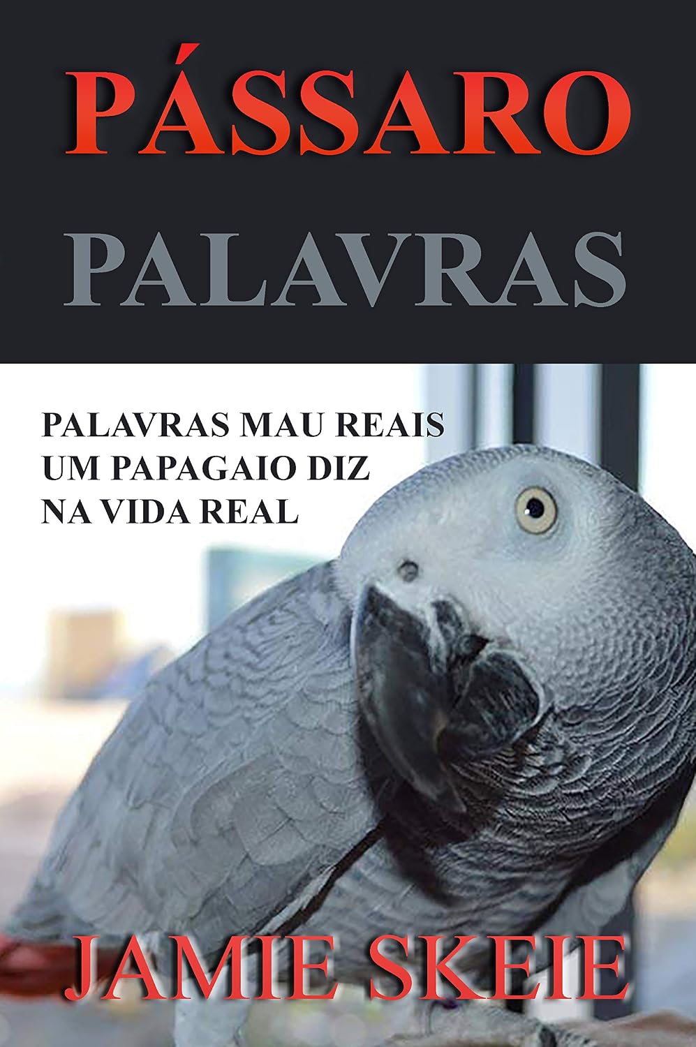 Pássaro Palavras baixar o livro de graça