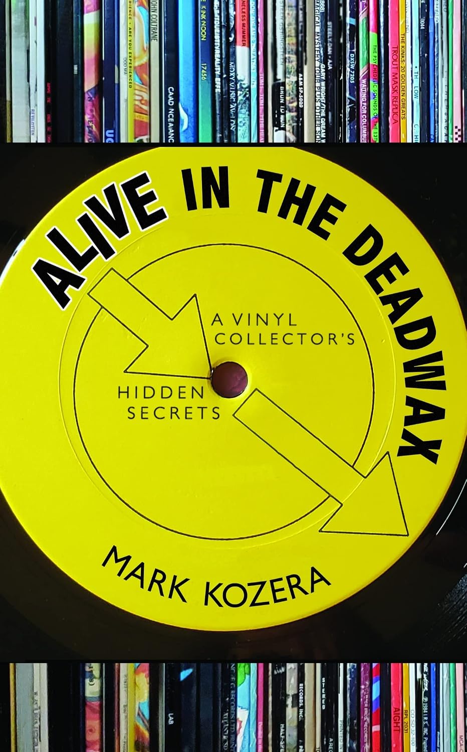 ler totalmente ALIVE IN THE DEADWAX: A VINYL COLLECTOR’S HIDDEN SECRETS (English Edition)