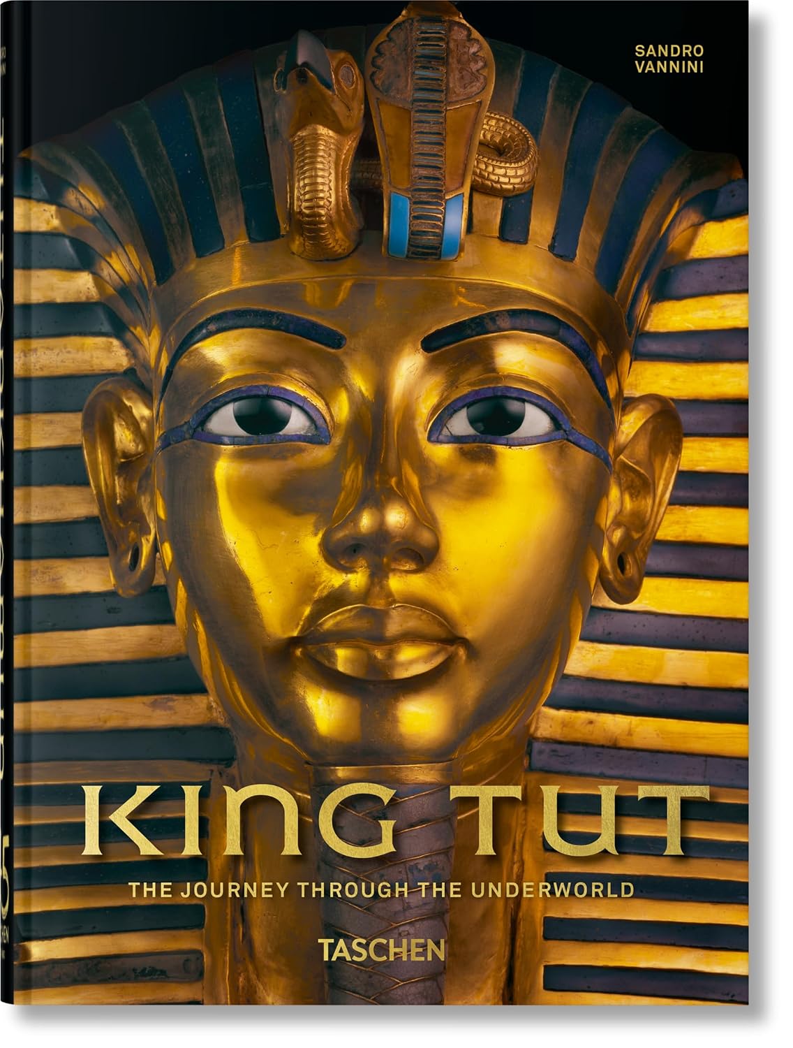 ler totalmente King Tut: The journey through the underworld