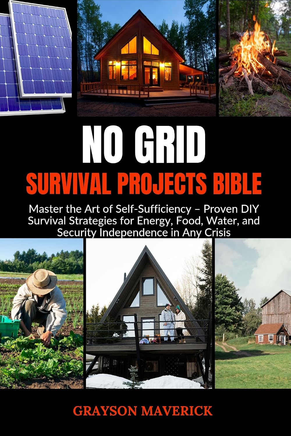 No Grid Survival Projects Bible: Master the Art of Self-Sufficiency – Proven DIY Survival Strategies for Energy, Food, Water, and Security Independence in Any Crisis. (English Edition) baixar livro de graça