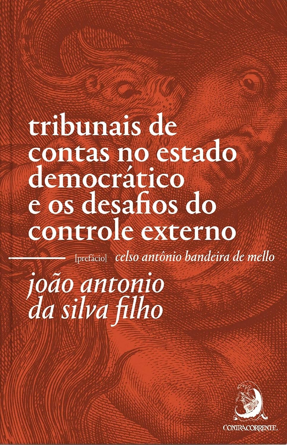 Tribunais de Contas no Estado Democrático e os Desafios do Controle Externo baixar livro de graça