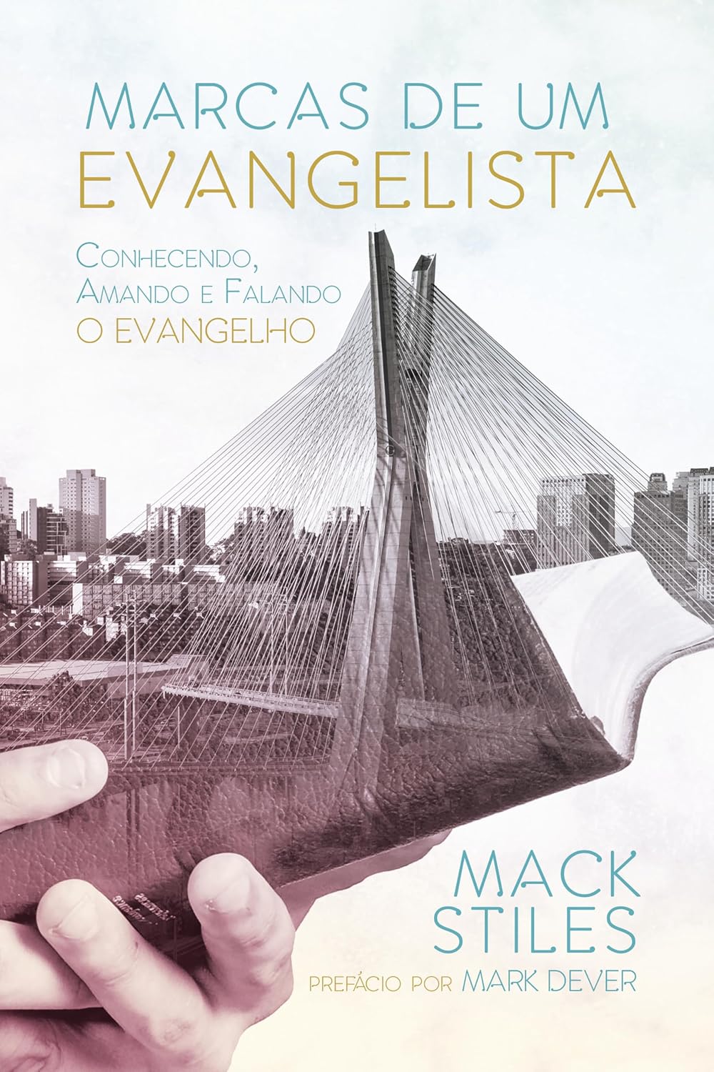 ler totalmente Marcas de um evangelista: conhecendo, amando e falando o Evangelho