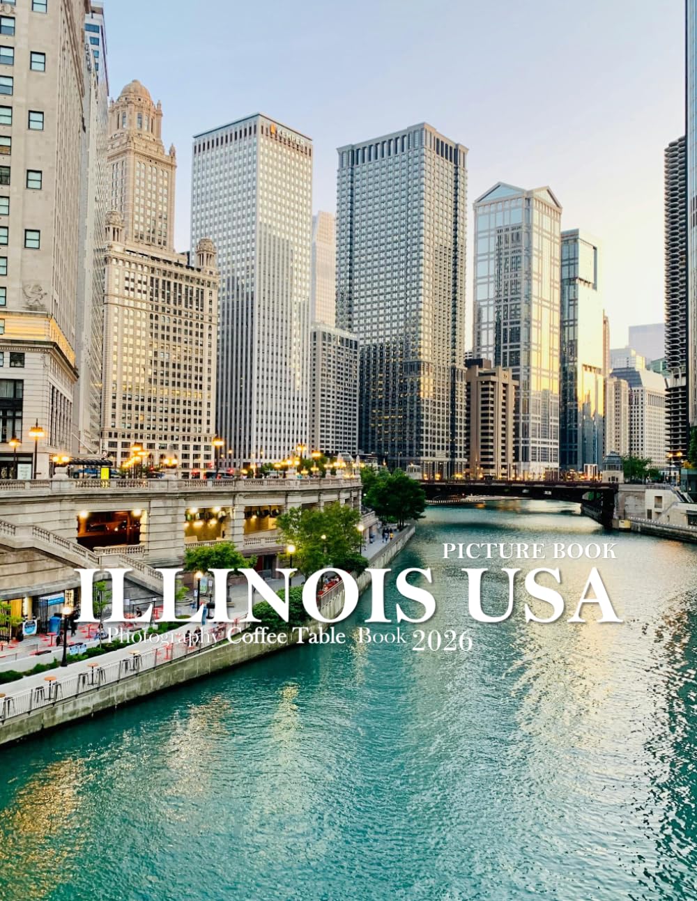 ILLINOIS USA: Wonderful pictures that give you an idea of an amazing country, the style of buildings, castles, etc., for all travel lovers. baixar o livro de graça