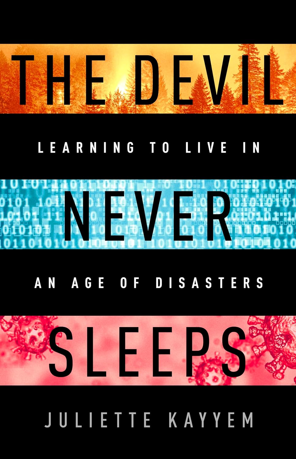 The Devil Never Sleeps: Learning to Live in an Age of Disasters (English Edition) baixar livro de graça