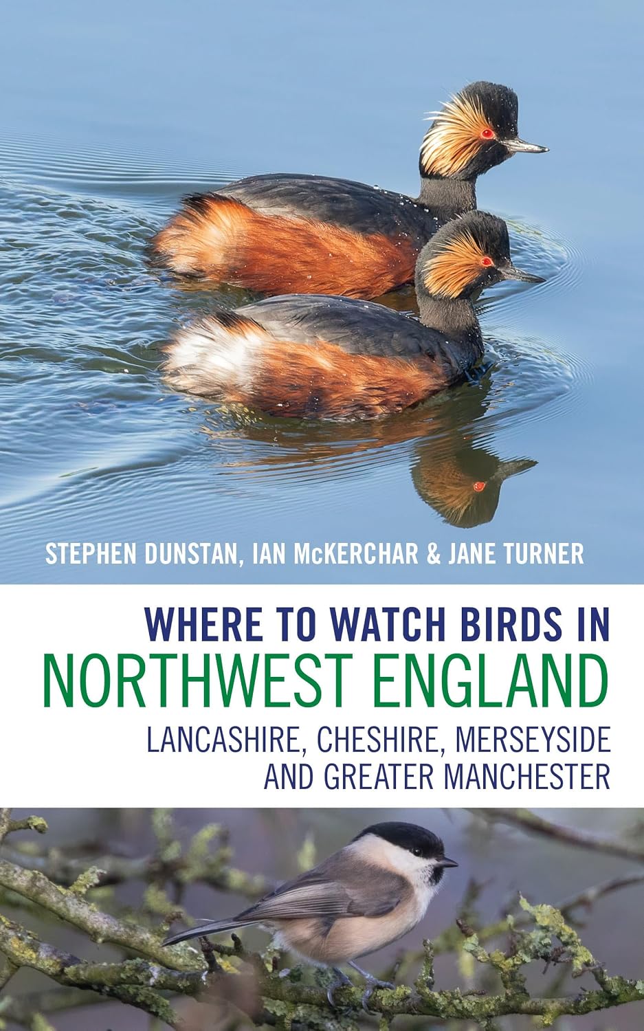 capítulo por capítulo baixar Where to Watch Birds in Northwest England: Lancashire, Cheshire, Merseyside and Greater Manchester (English Edition)