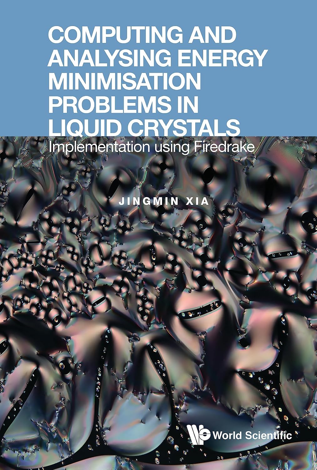 Computing and Analysing Energy Minimisation Problems in Liquid Crystals: Implementation using Firedrake (English Edition)