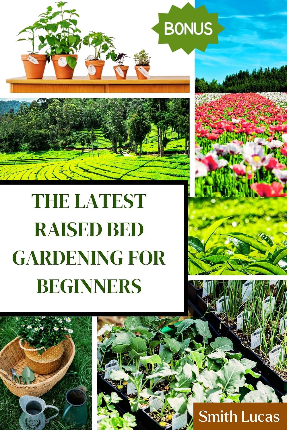 THE LATEST RAISED BED GARDENING FOR BEGINNERS: The Practical Tips and Tricks to Grow Organic Vegetables, Plants, And Cut Flowers in A Limited Space. (English Edition) baixar o livro de graça
