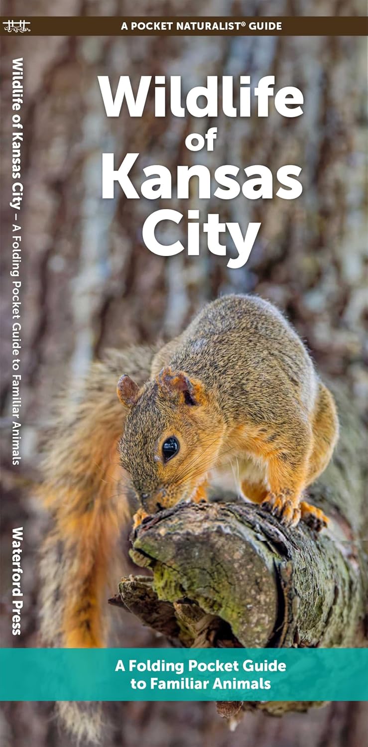 Wildlife of Kansas City: A Folding Pocket Guide to Familiar Animals