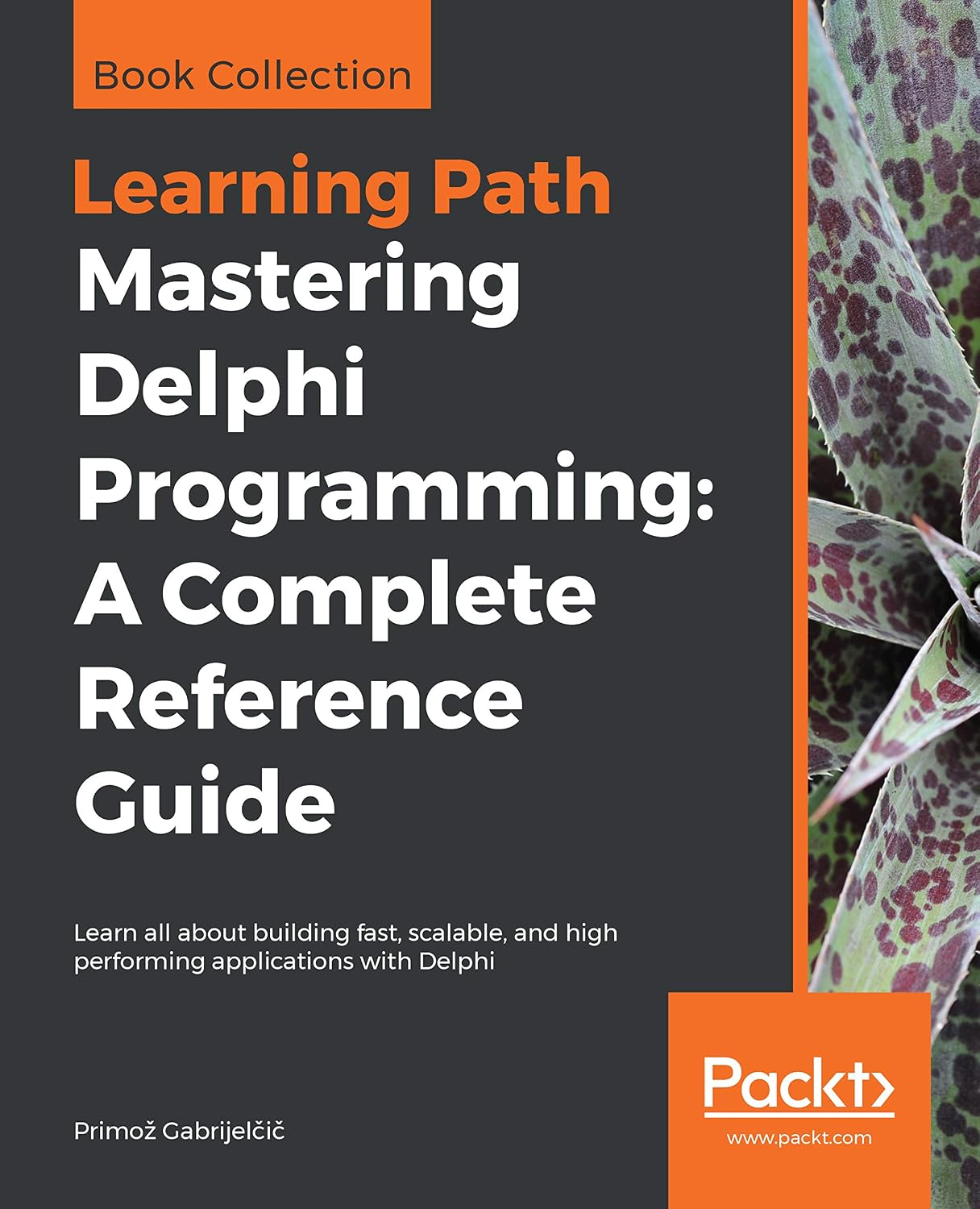 capítulo por capítulo baixar Mastering Delphi Programming: A Complete Reference Guide: Learn all about building fast, scalable, and high performing applications with Delphi (English Edition)