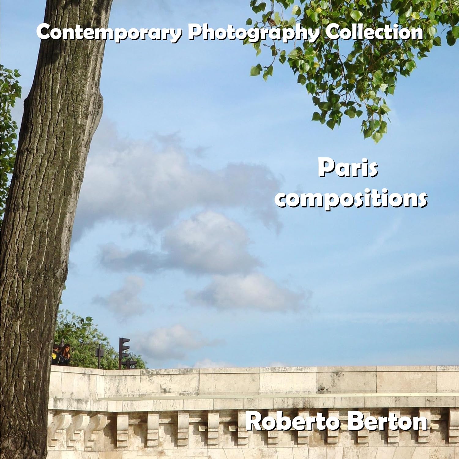ler totalmente Paris compositions (Contemporary Photography Collection) (English Edition)