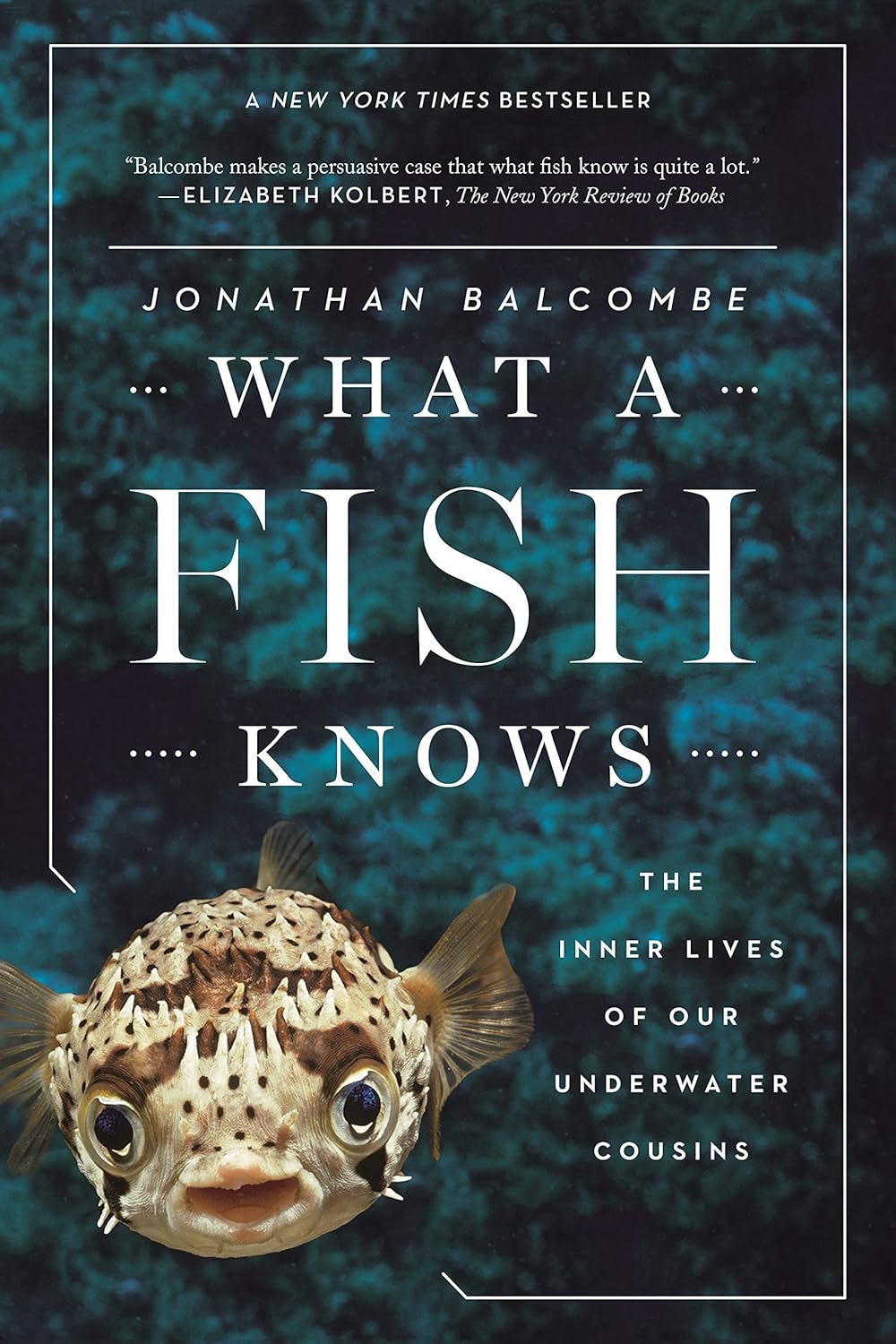 ler totalmente What a Fish Knows: The Inner Lives of Our Underwater Cousins