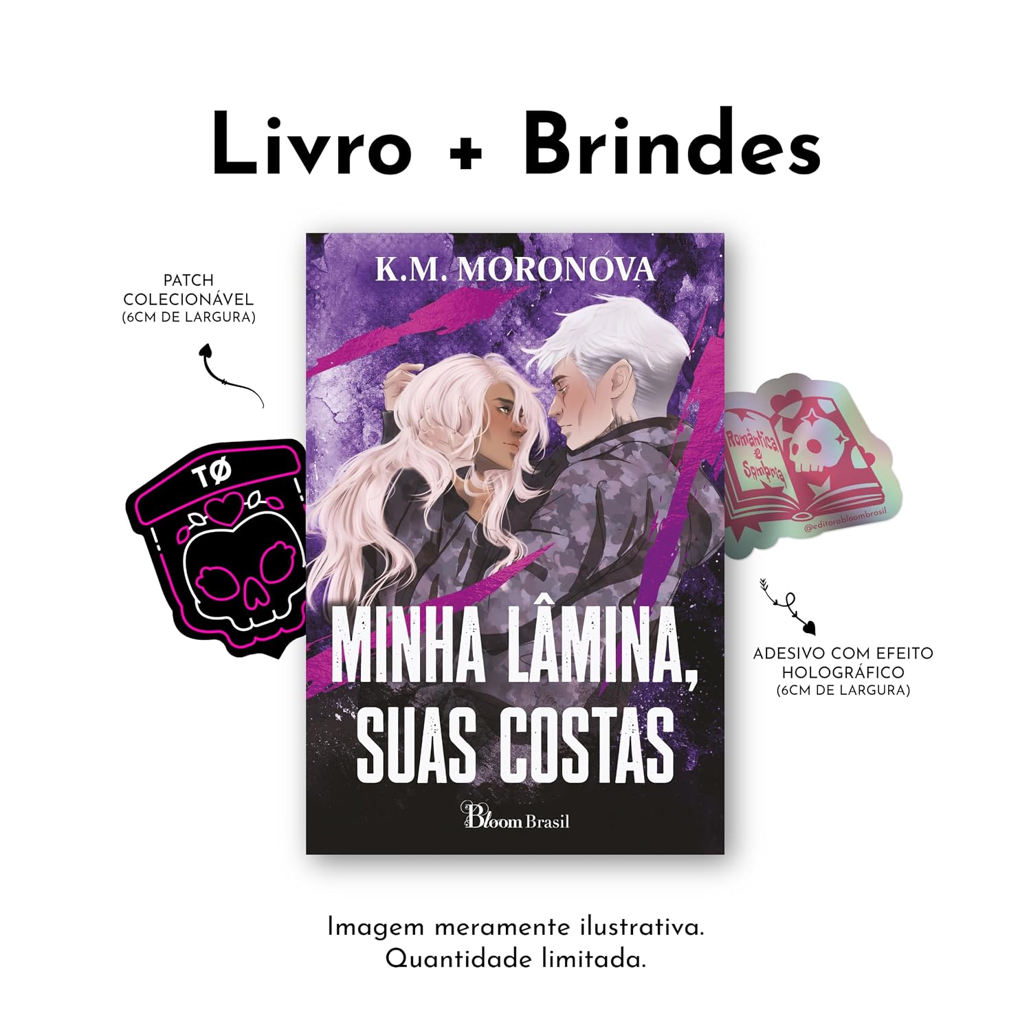 Minha lâmina, suas costas (com brinde): Duologia das Tropas Ocultas: 2 baixar o livro de graça