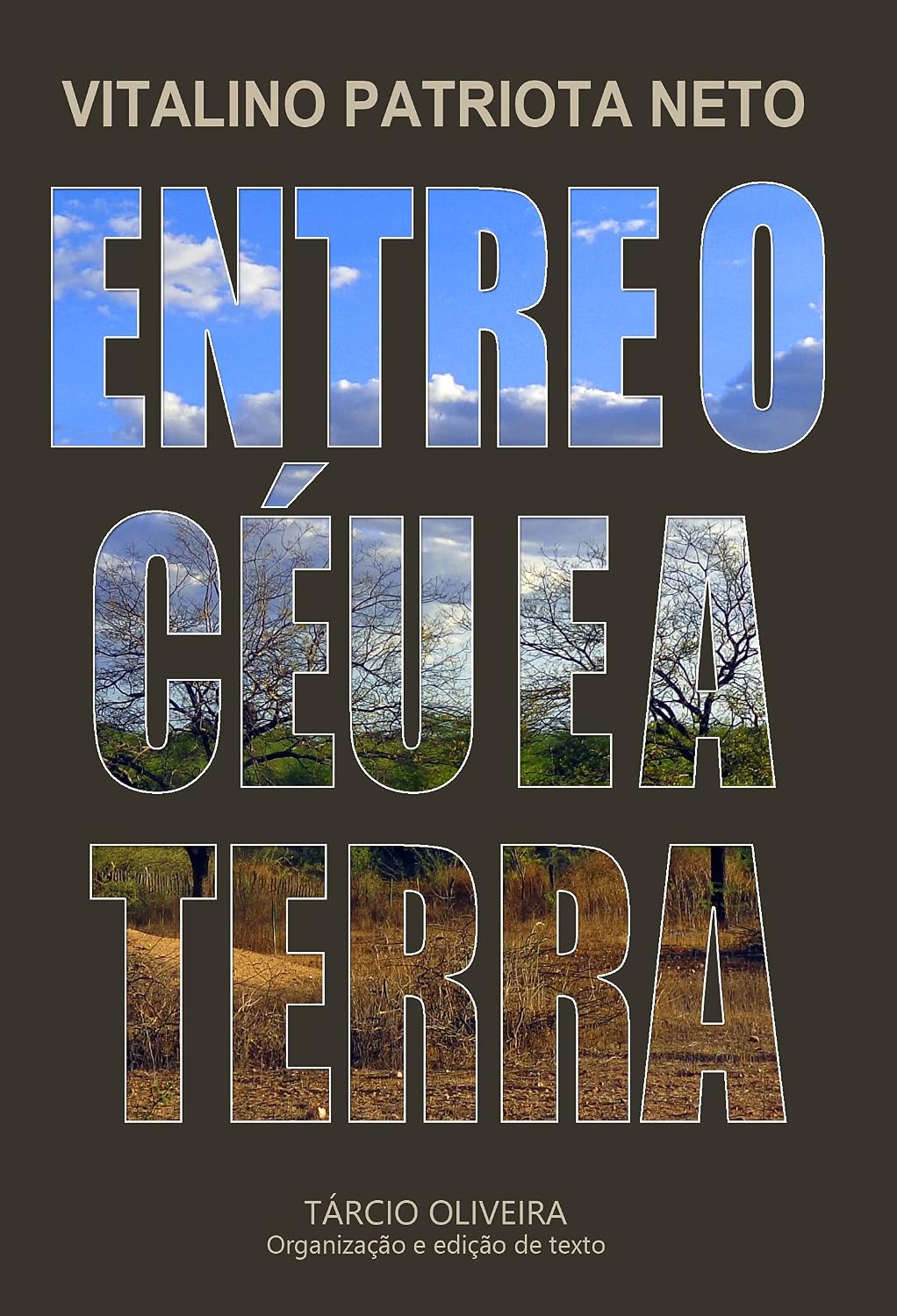 ler totalmente ENTRE O CEU E A TERRA