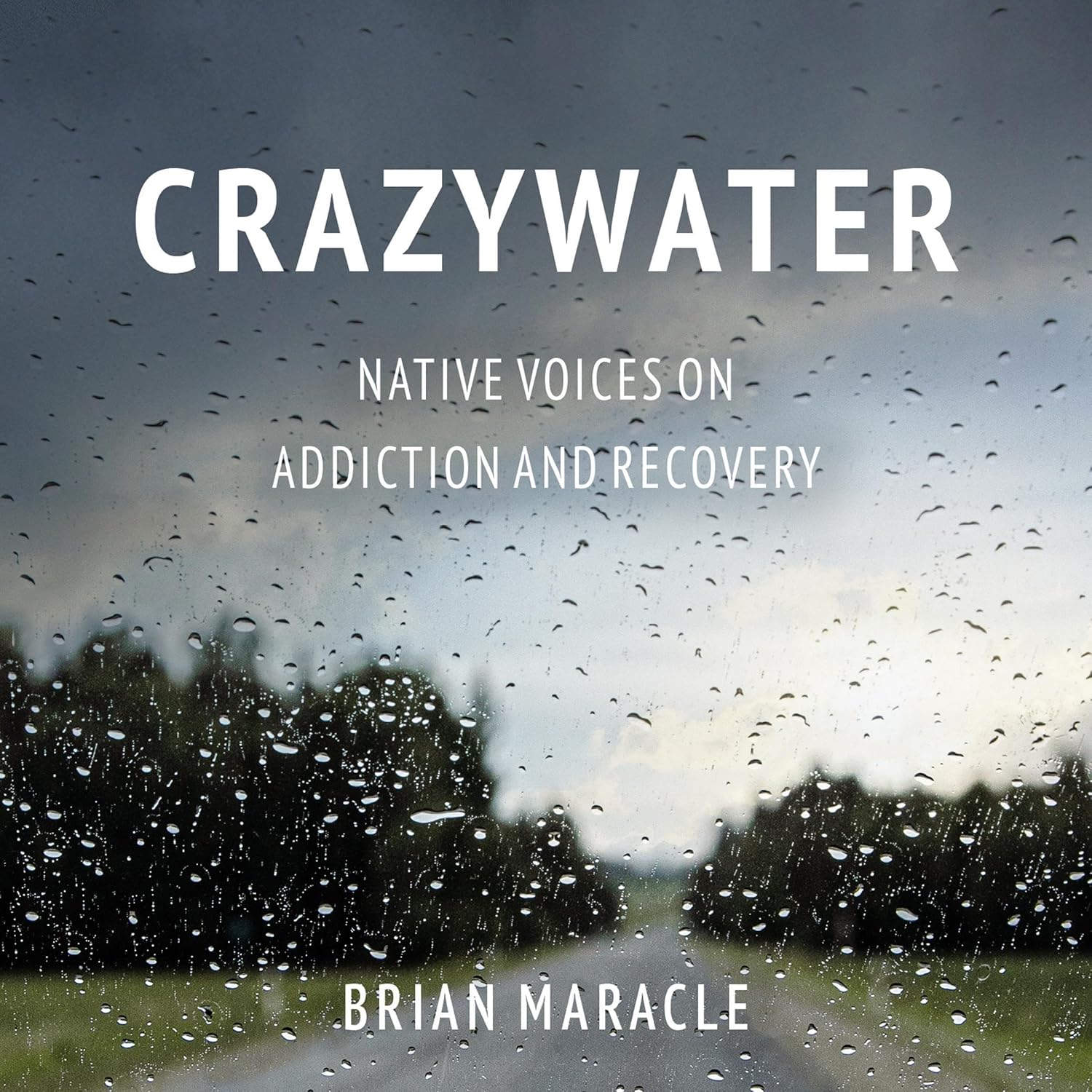 ler totalmente Crazywater: Native Voices on Addiction and Recovery