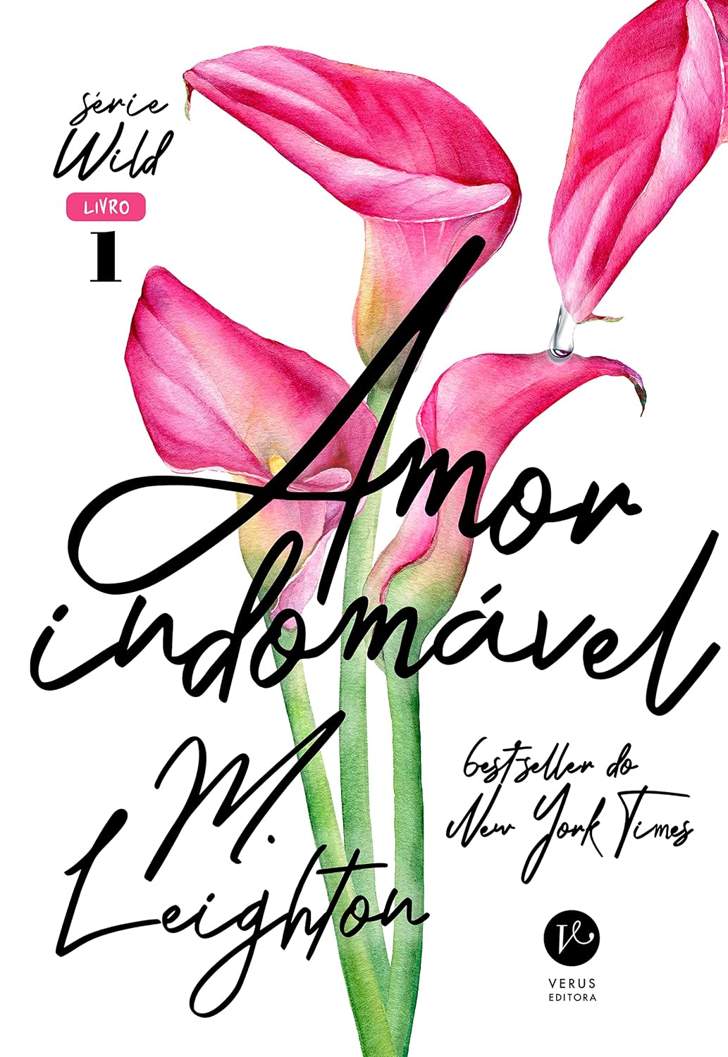 Amor indomável (Vol. 1 Wild) baixar o livro de graça