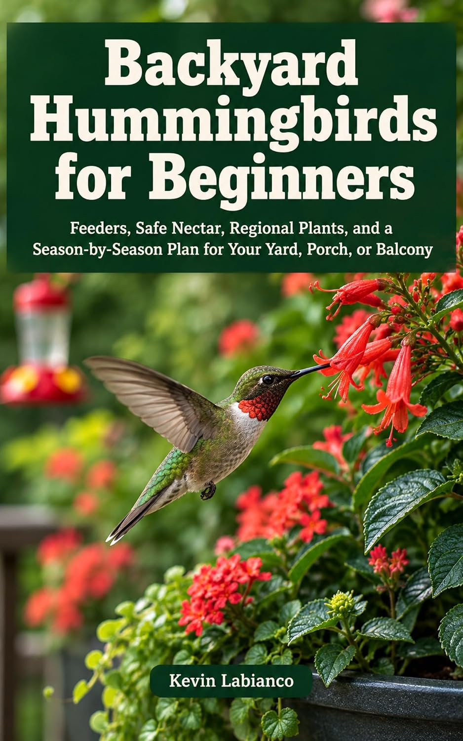ler totalmente Backyard Hummingbirds for Beginners: Feeders, Safe Nectar, Regional Plants, and a Season-by-Season Plan for Your Yard, Porch, or Balcony (English Edition)