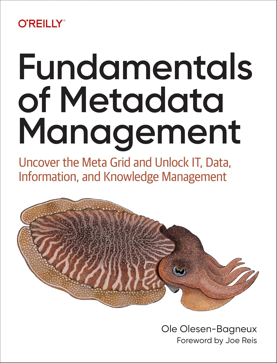 Fundamentals of Metadata Management: Uncover the Meta Grid and Unlock It, Data, Information, and Knowledge Management baixar o livro de graça