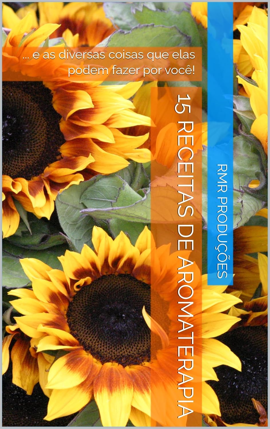 15 Receitas de Aromaterapia:... e as diversas coisas que elas podem fazer por você! baixar livro de graça