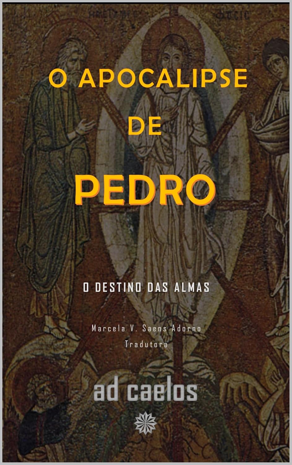 capítulo por capítulo baixar O Apocalipse de Pedro: O destino das almas (Série Apocalipses e Visões)