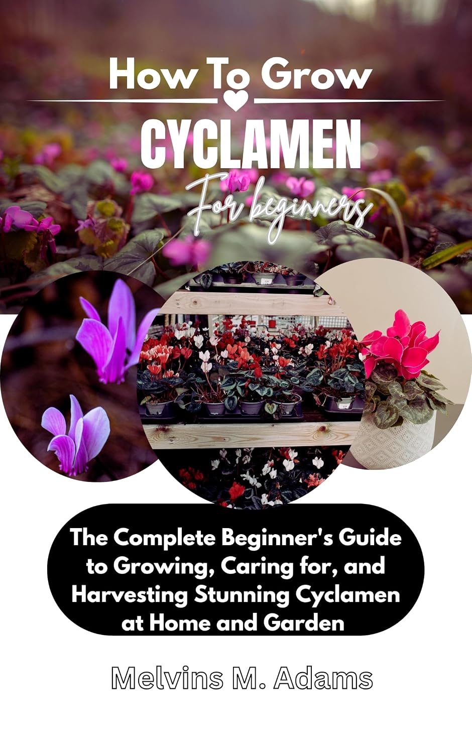 How to Grow Cyclamen Flower for Beginners: The Ultimate Beginner’s Guide to Growing, Caring for, and Harvesting Stunning Cyclamen at Home and garden (English Edition) baixar o livro de graça