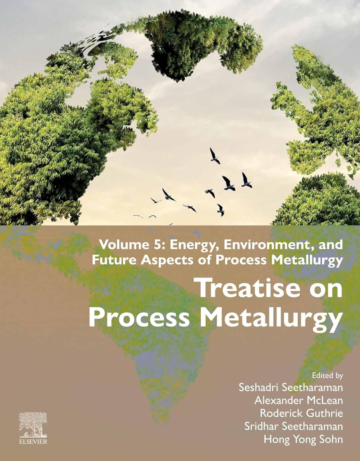 Treatise on Process Metallurgy: Volume 5: Energy, Environment, and Future Aspects of Process Metallurgy (English Edition) baixar o livro de graça