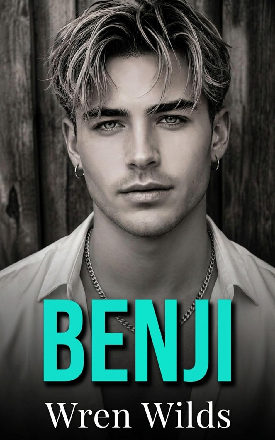 Benji: An M/M Romance (The Florida Panhandle Series Book 2) (English Edition) baixar livro de graça