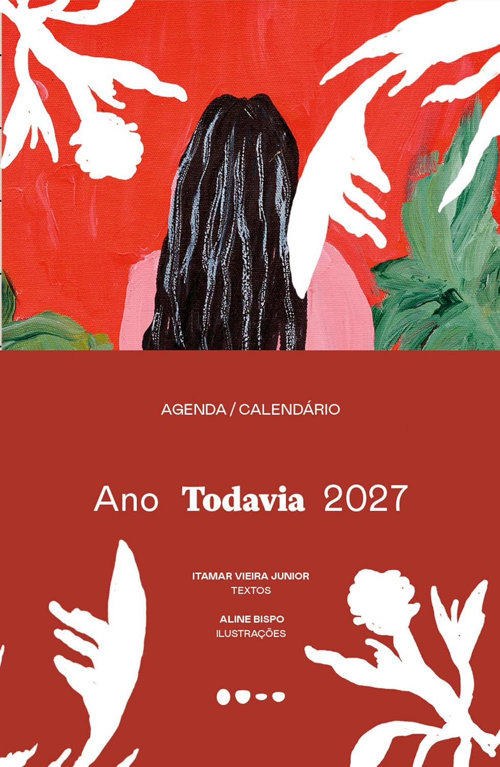 Ano Todavia 2027: Especial 10 anos baixar livro de graça