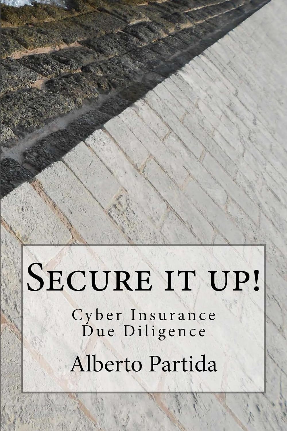 ler totalmente Secure IT Up! Cyber Insurance Due Diligence (English Edition)