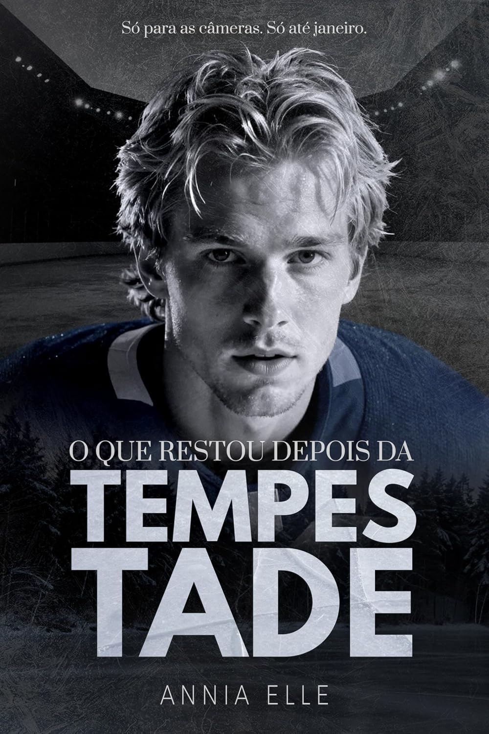 ler totalmente O que Restou Depois da Tempestade (Vancouver Wolves Livro 1)