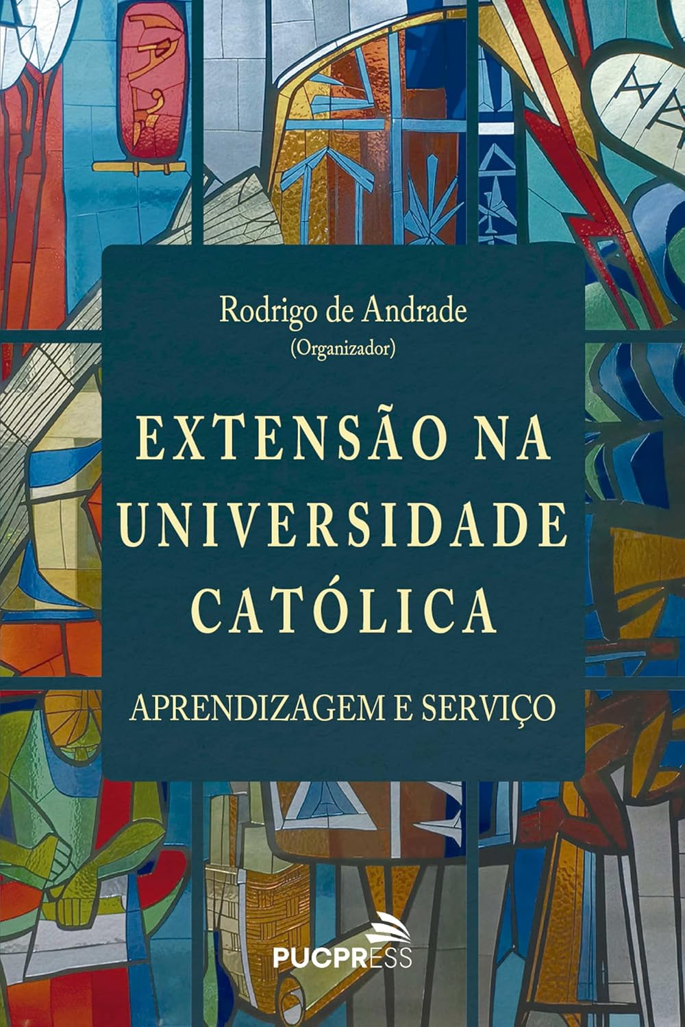 Extensão na Universidade Católica: Aprendizagem e serviço baixar o livro de graça