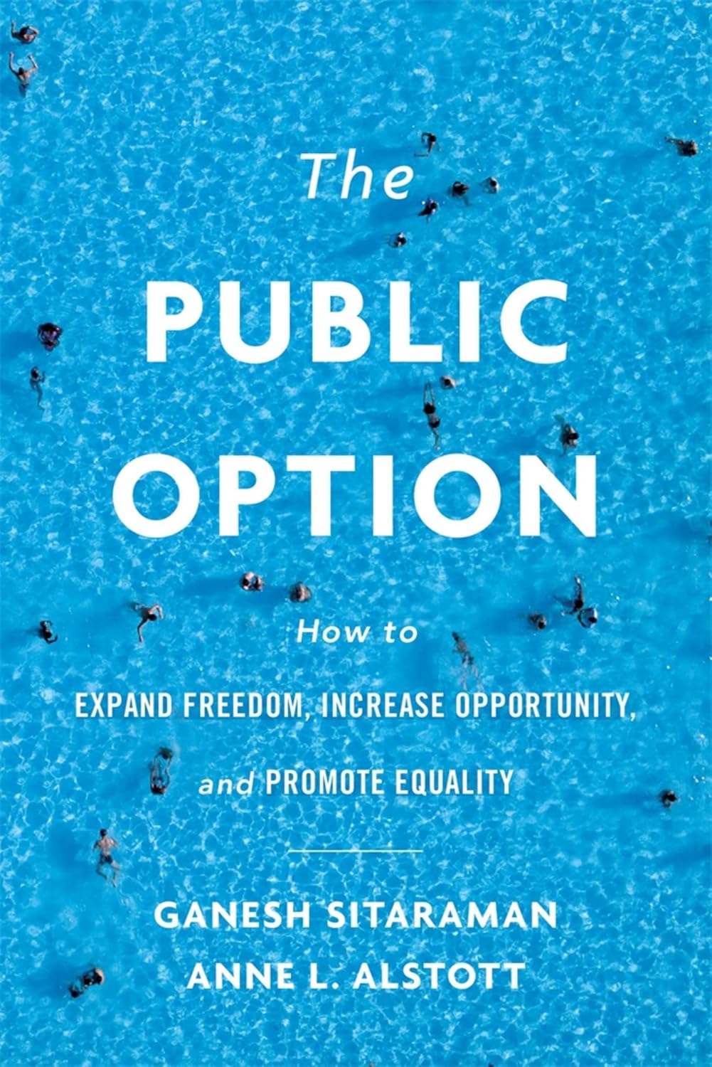 The Public Option: How to Expand Freedom, Increase Opportunity, and Promote Equality (English Edition) baixar o livro de graça