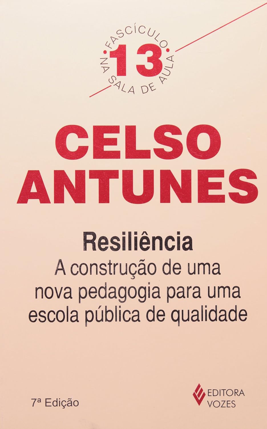 Resiliência: A construção de uma nova pedagogia para uma escola pública de qualidade - Fascículo 13: Volume 13 baixar o livro de graça