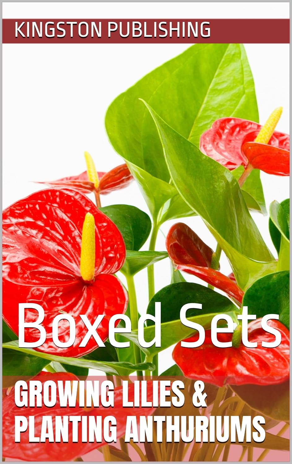 Growing Lilies & Planting Anthuriums: Boxed Sets (Container Gardening and Greenhouses) (English Edition) baixar o livro de graça