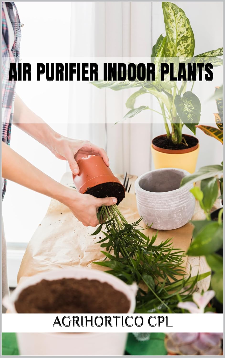 Air Purifier Indoor Plants (Indoor Gardening) (English Edition) baixar livro de graça