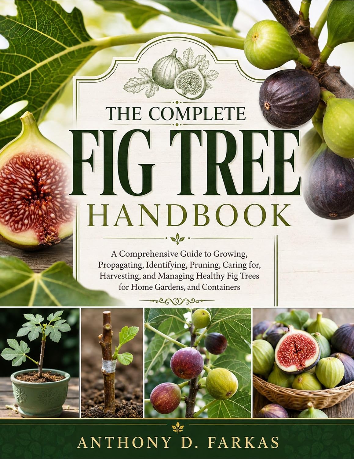 The Complete Fig Tree Handbook: A Comprehensive Guide to Growing, Propagating, Identifying, Pruning, Caring for, Harvesting, and Managing Healthy Fig Trees... Gardens, and Containers (English Edition) baixar livro de graça