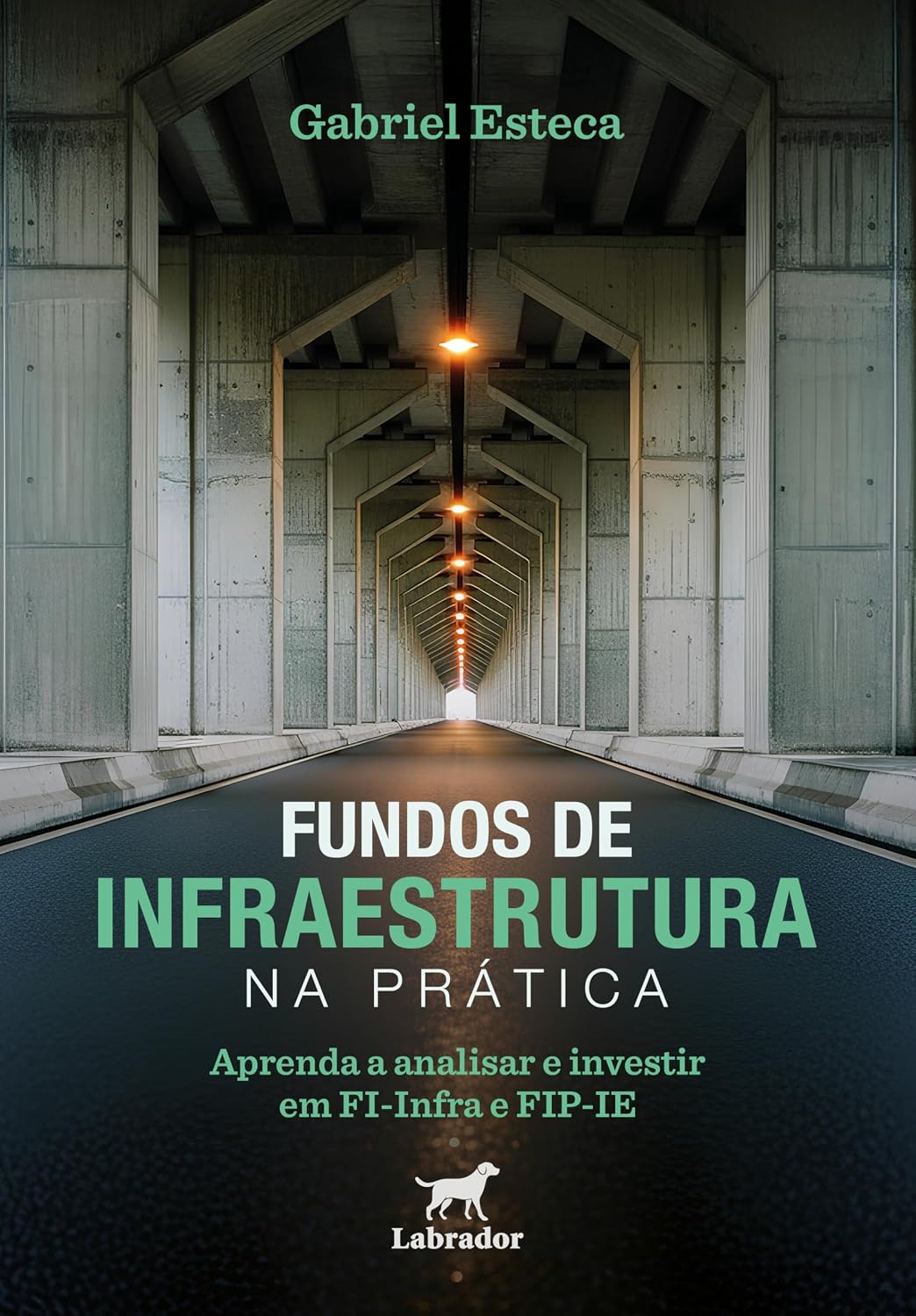 ler totalmente Fundos de infraestrutura na prática: Aprenda a analisar e investir em FI-Infra e FIP-IE