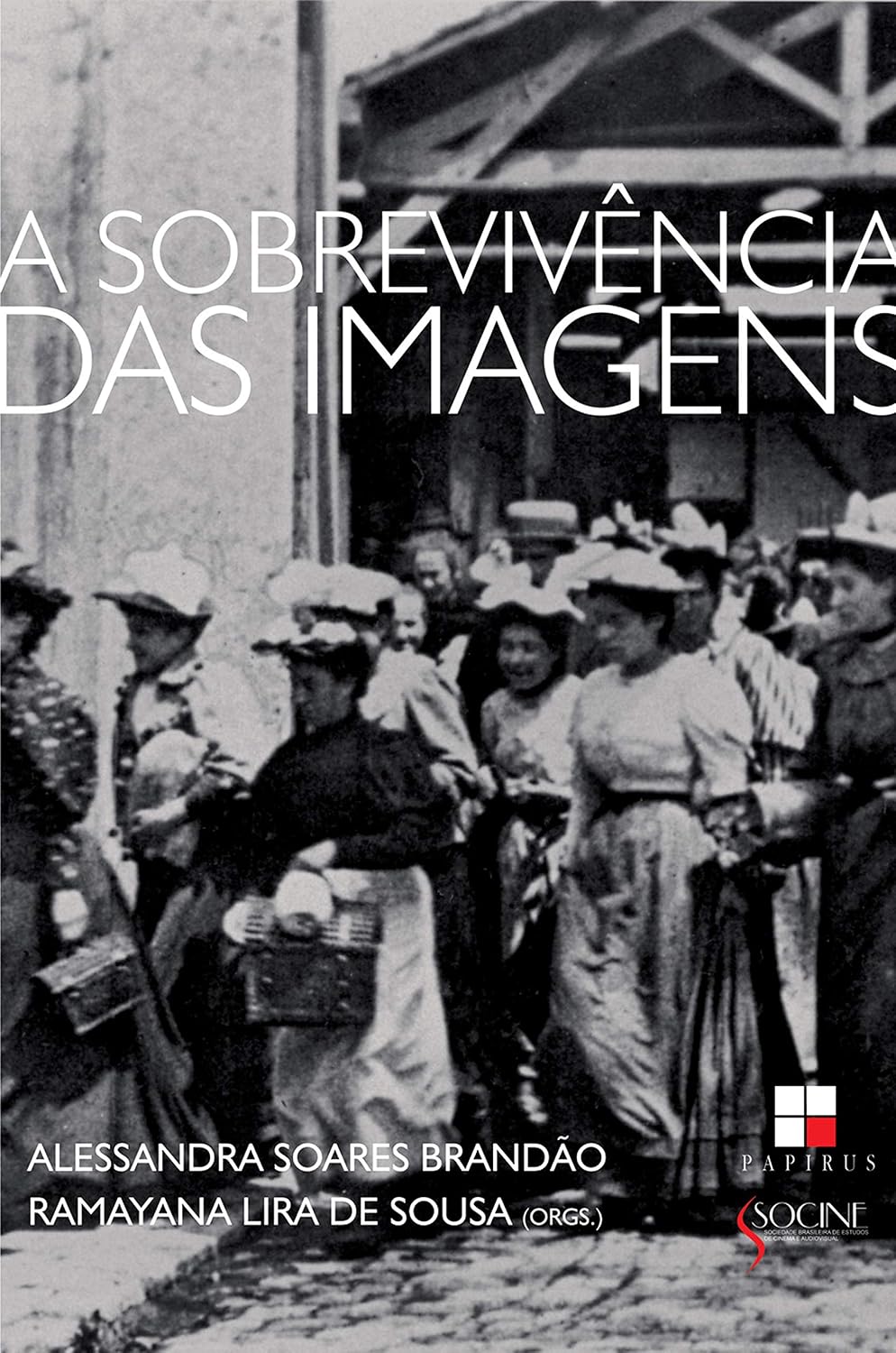 A Sobrevivência das imagens (Série de Estudos Socine) baixar o livro de graça