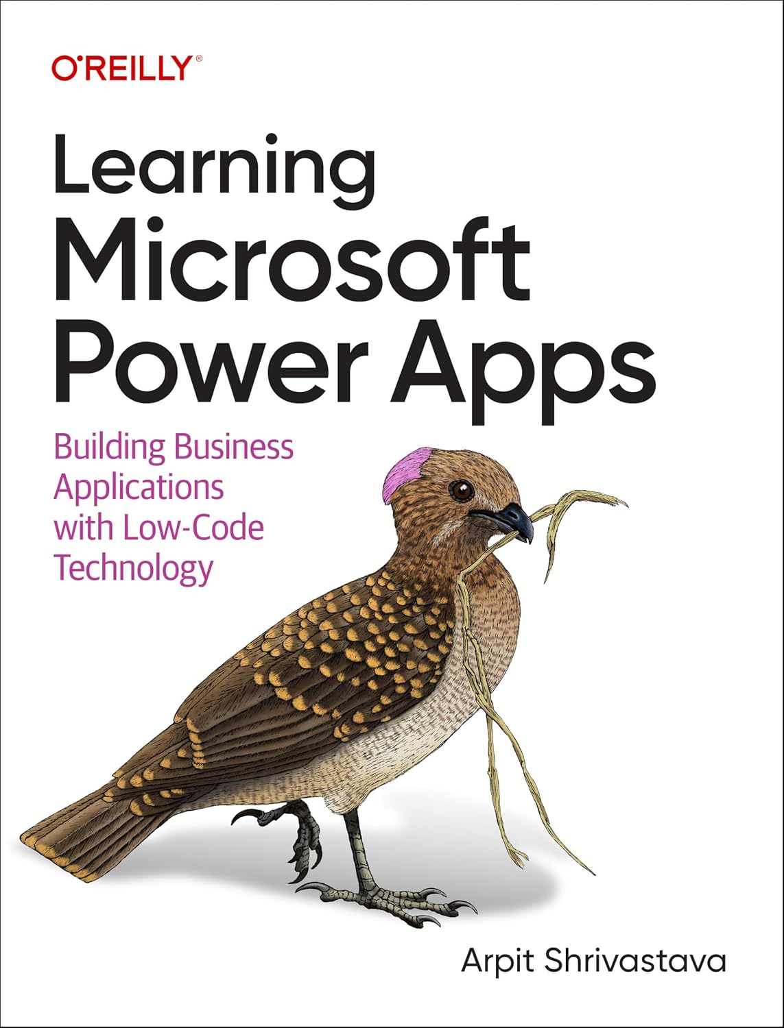 ler totalmente Learning Microsoft Power Apps: Building Business Applications with Low-Code Technology