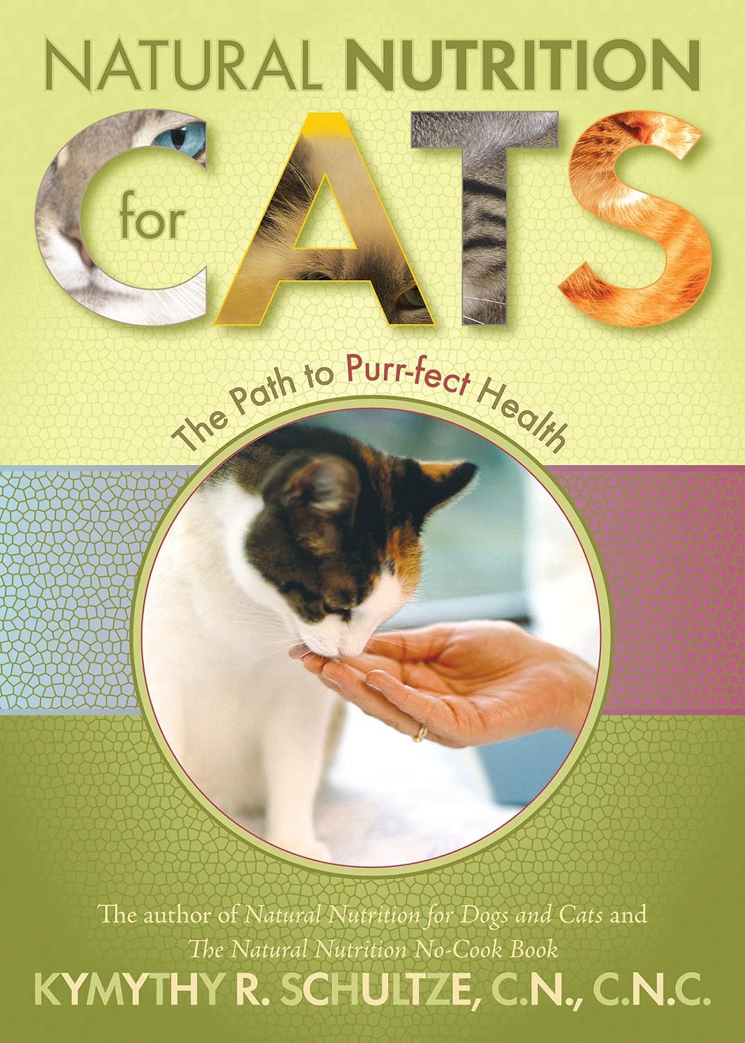 Natural Nutrition for Cats: The Path to Purr-fect Health (English Edition) baixar livro de graça