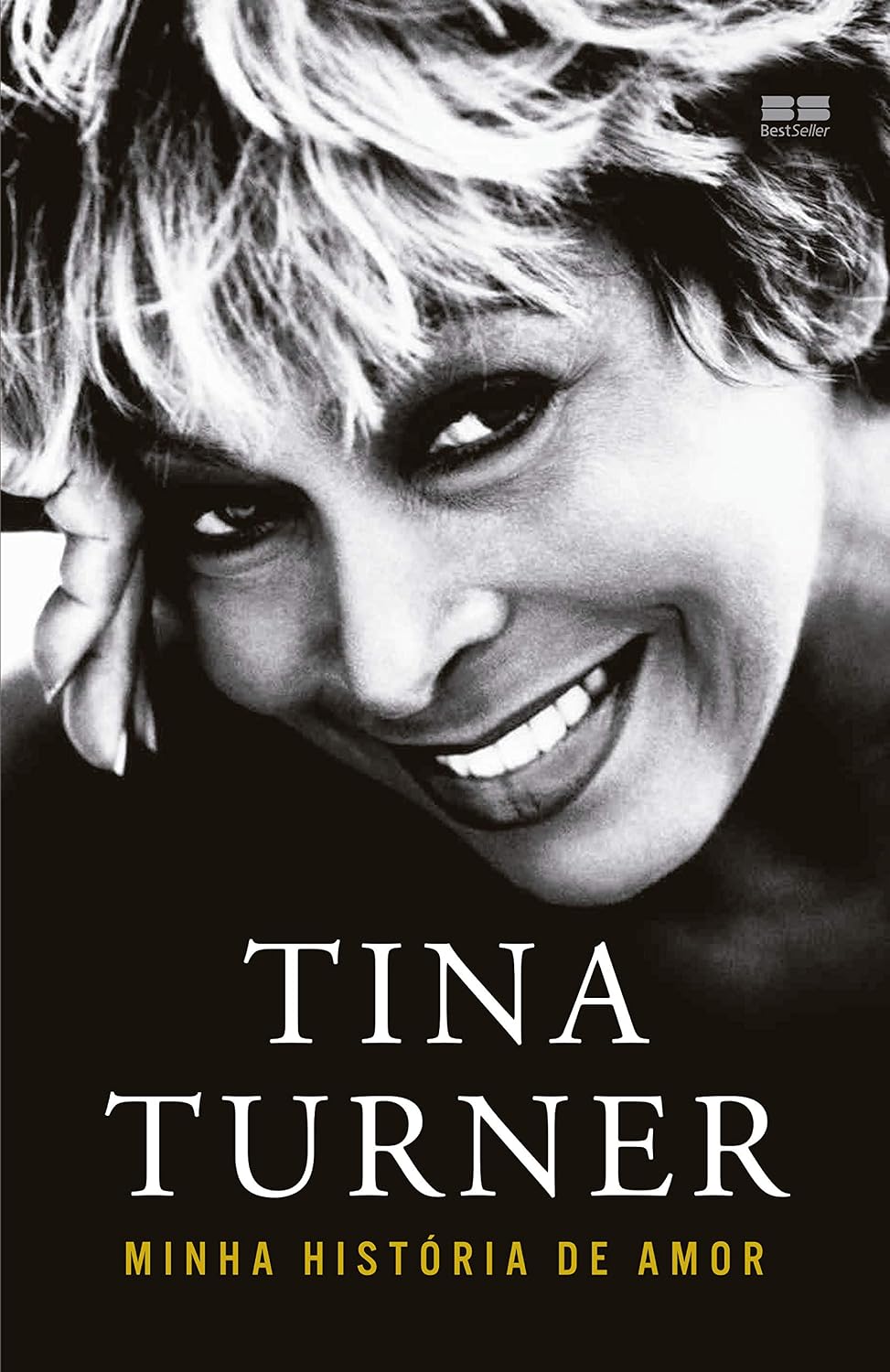 Tina Turner: Minha história de amor baixar o livro de graça