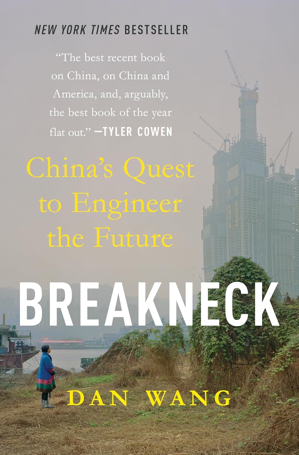 Breakneck: China's Quest to Engineer the Future baixar livro de graça