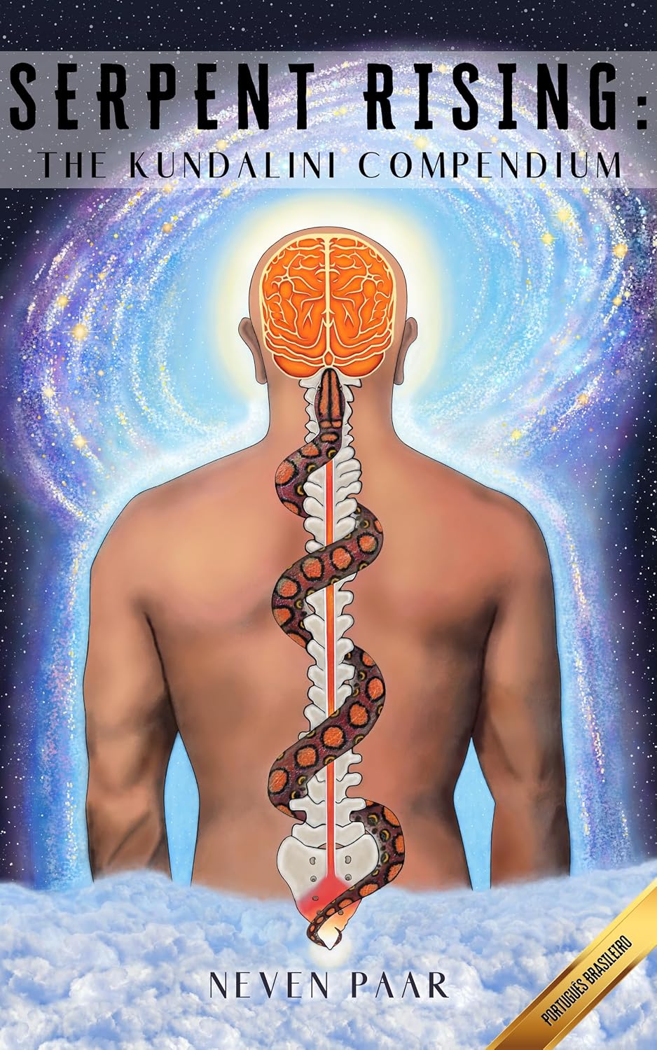 ler totalmente Serpent Rising: The Kundalini Compendium (Brasil): O Mais Abrangente Corpo de Trabalho sobre o Potencial Energético Humano do Mundo