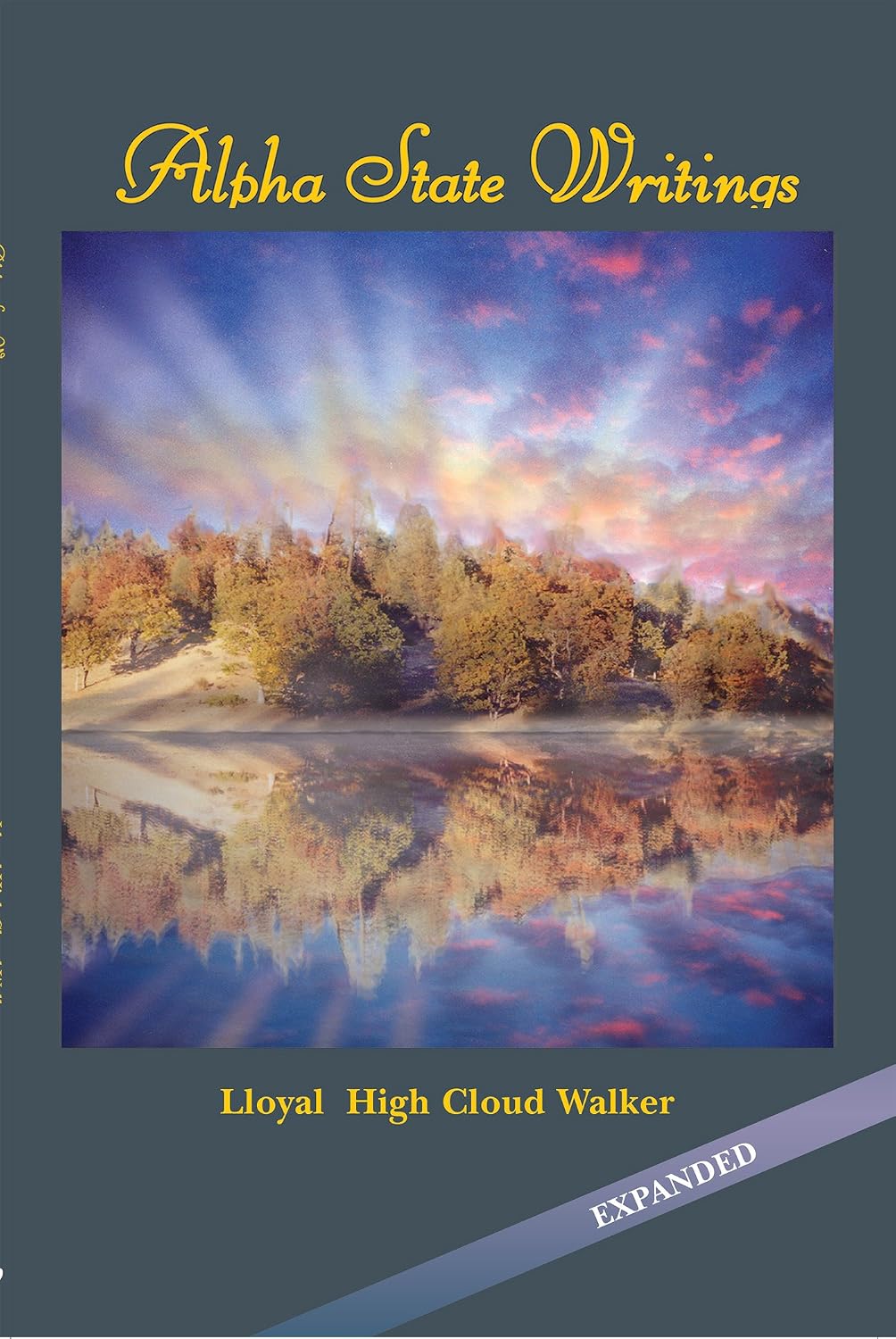 ler totalmente Alpha State Writings (English Edition)