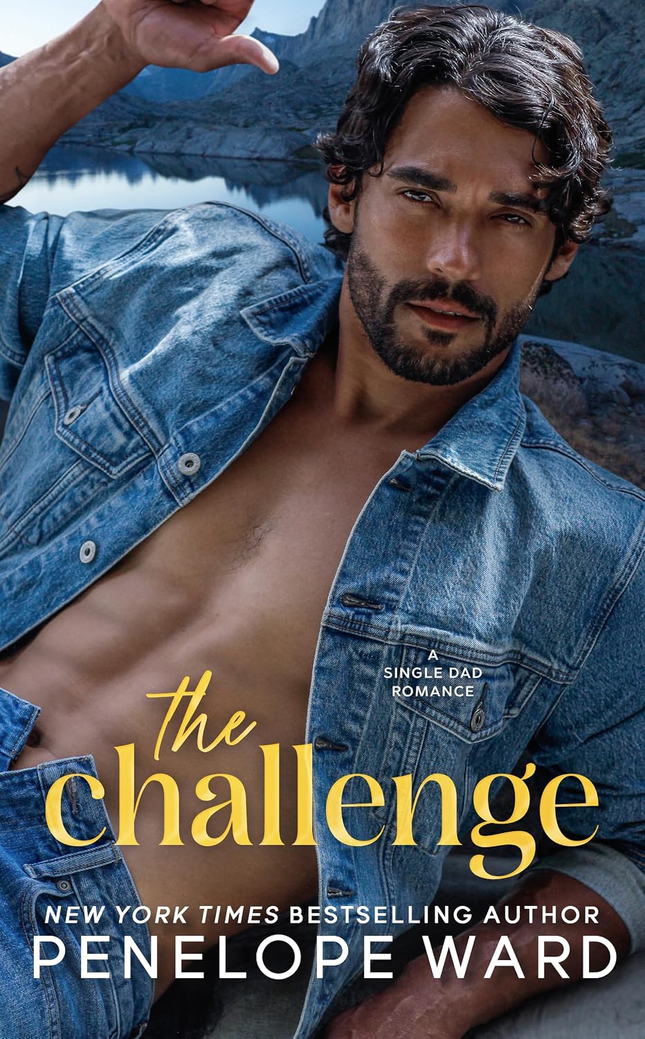 ler totalmente The Challenge: A Single Dad Romance (English Edition)