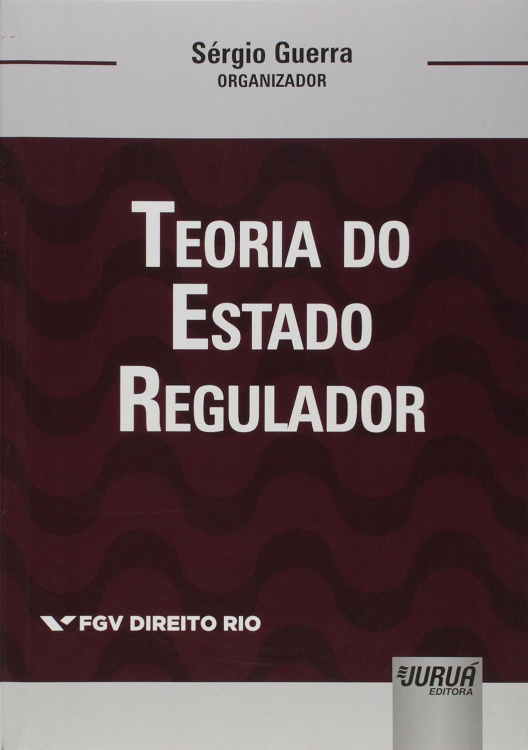 ler totalmente Teoria do Estado Regulador - Volume I: Coleção FGV Direito Rio